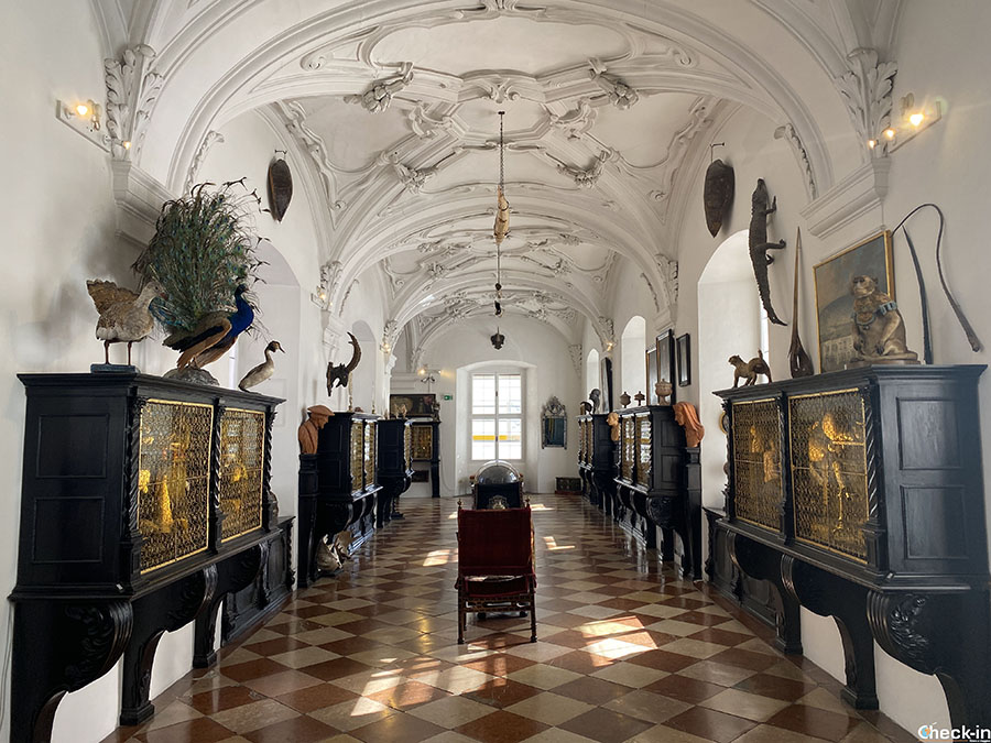 Camera dell'arte e delle meraviglie nel DomQuartier di Salisburgo