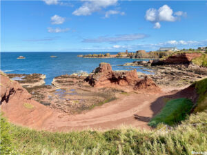 Paesaggi più suggestivi vicino a Edimburgo: John Muir Country Park a Dunbar