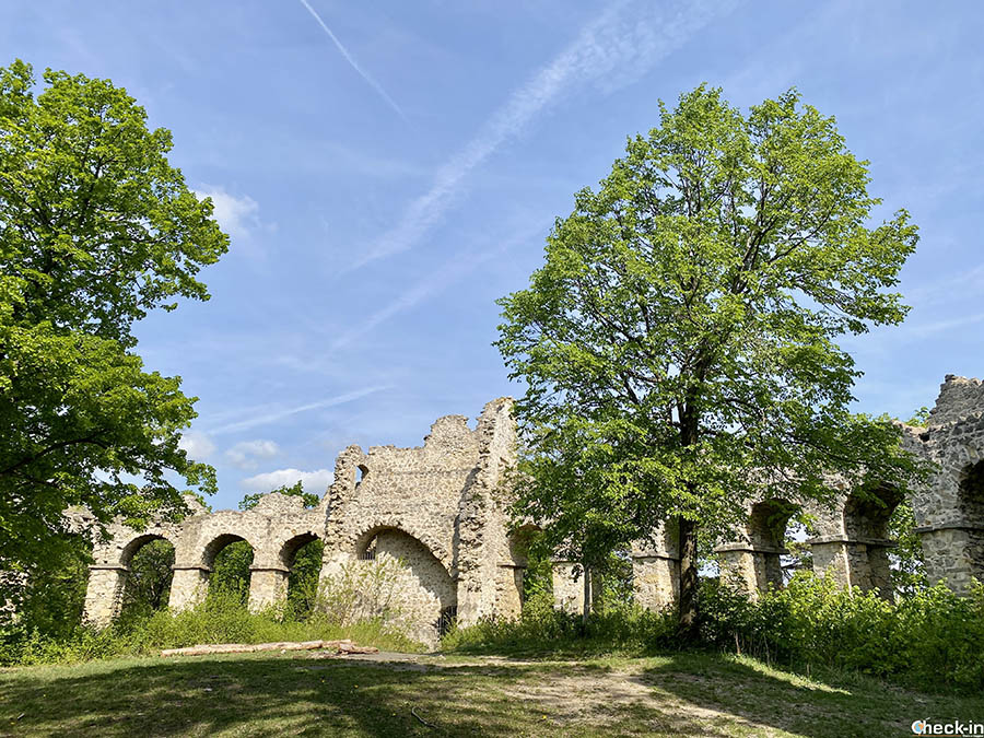 Roman-style Amphitheatre near Liechtenstein Castle in Lower Austria (Vienna)