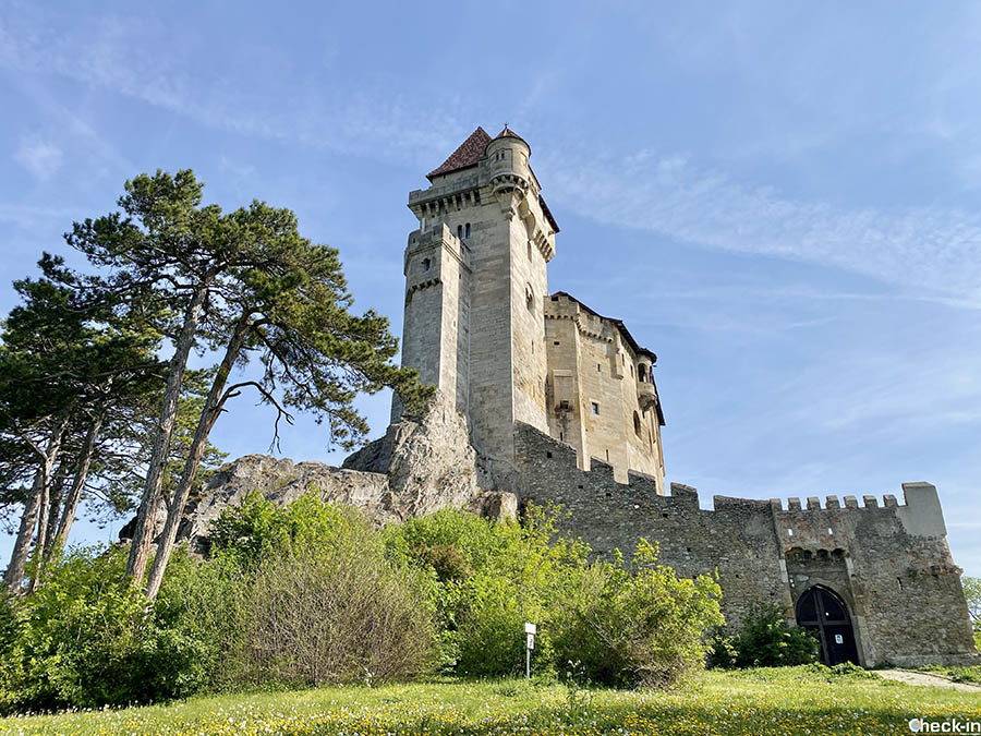 Castles to see around Vienna: Burg Liechtenstein in Mödling