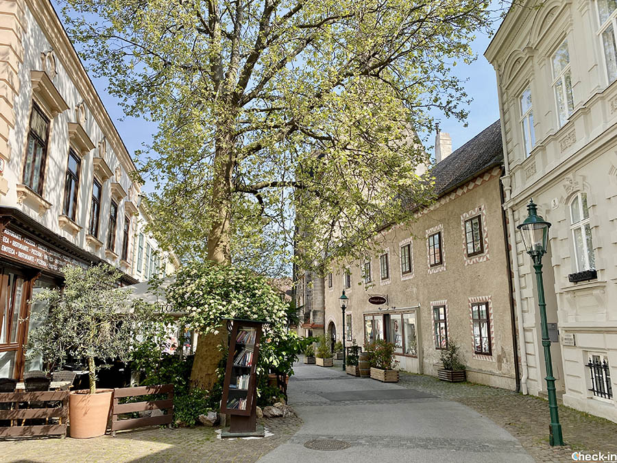 Charming towns near Vienna: the pedestrian city centre of Mödling