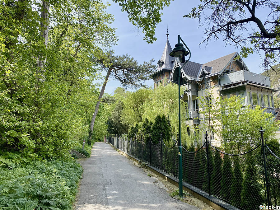 The cycle-pedestrian trail in Wienerwald, crossing Mödling