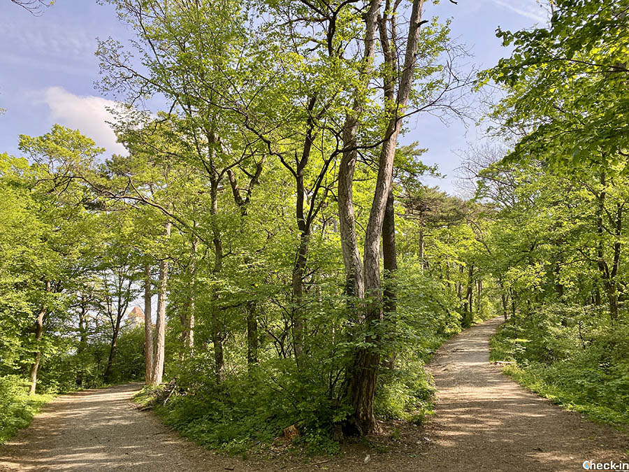 Walks in the nature around Vienna: Burg Liechtenstein Park in Mödling