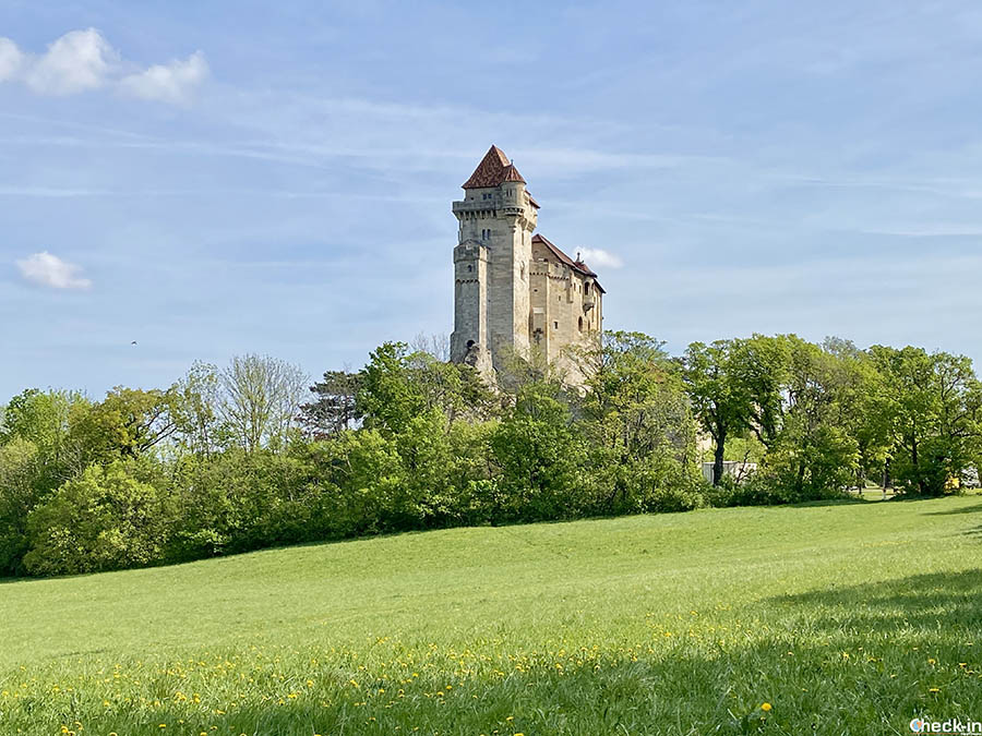 Day-out in Vienna by public transport: Liechtenstein Castle, Mödling