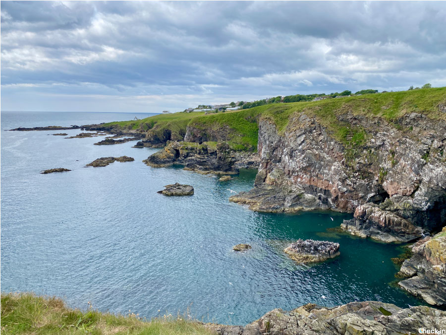 Escursioni da fare vicino ad Aberdeen (Scozia): il sentiero costiero verso Cove Bay