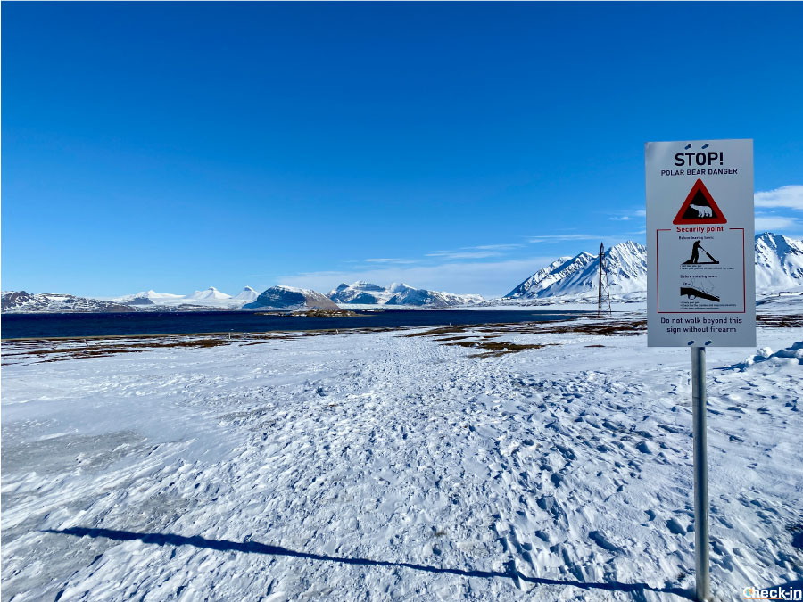Cartello stradale di pericolo orso polare ai confini di Ny-Ålesund
