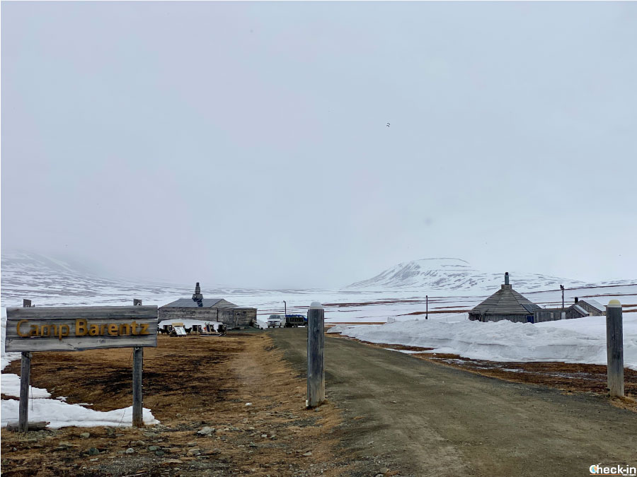 Luoghi da visitare nei pressi di Longyearbyen: gli husky di Camp Barentz