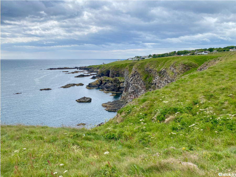 Itinerari costieri nell'Aberdeenshire (Scozia): da Aberdeen a Cove Bay