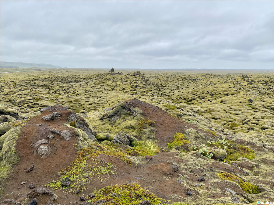 Luoghi insoliti nella costa sud dell'Islanda: il campo di lava di Eldhraun