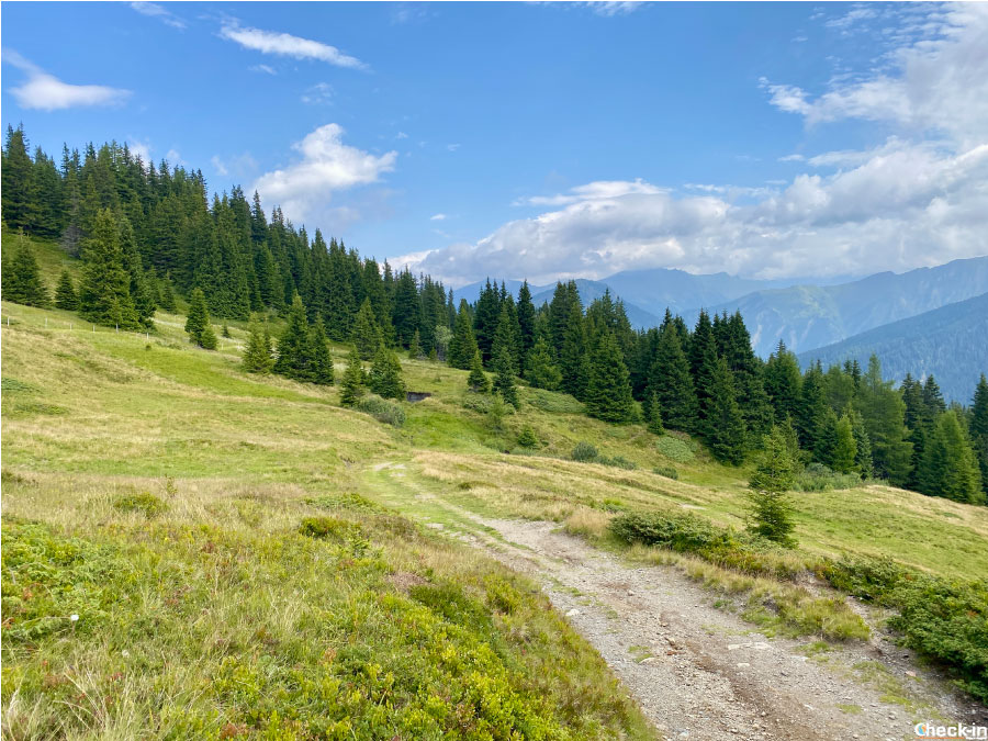 Informazioni sentiero per escursionisti e mtb verso il monte Sella-Sattelberg