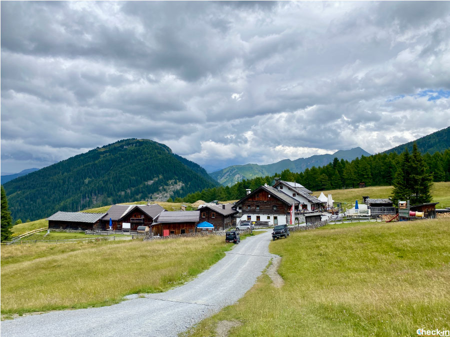 Escursione alla malga Sattelbergeralm, vicino al confine tra Italia e Austria