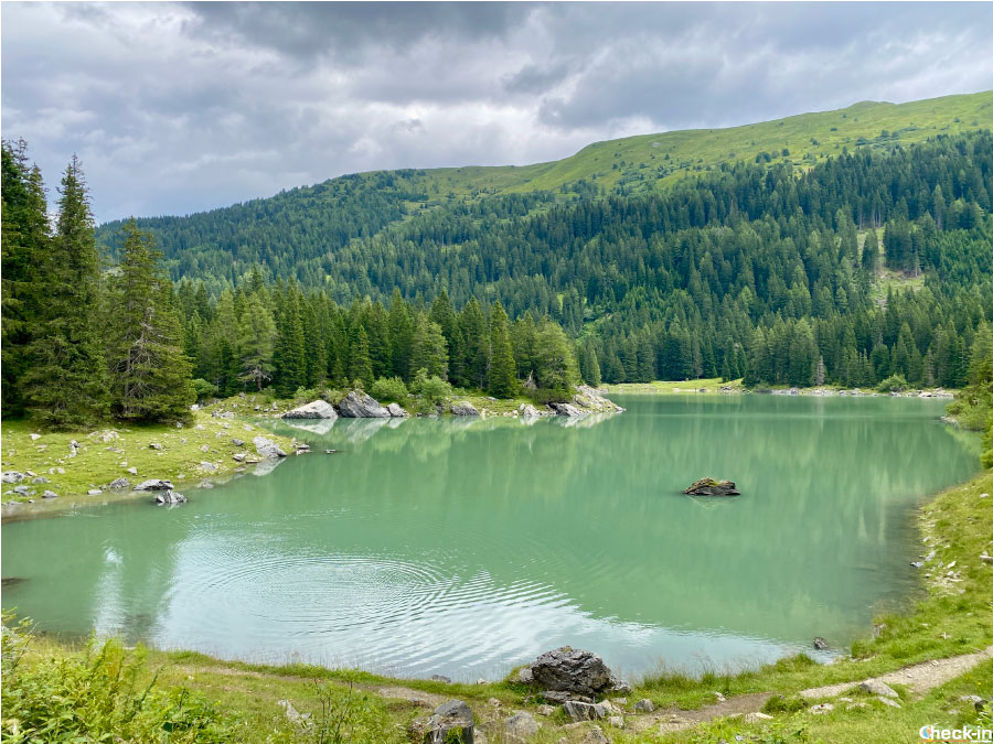 Anello dell'Obernberger See nella valle Wipptal (Tirolo)