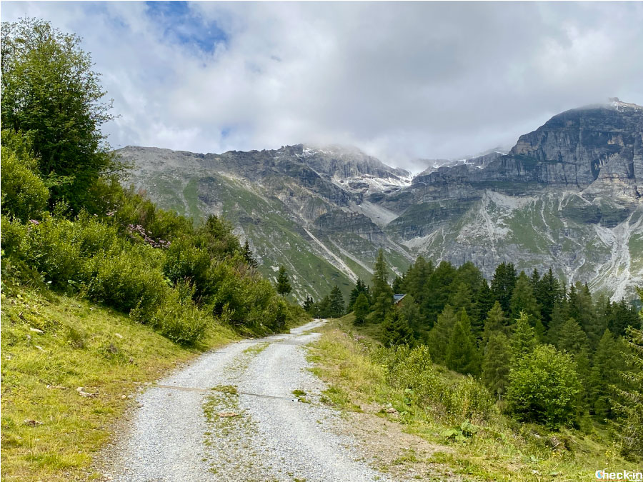 Sentieri facili e panoramici nella Wipptal: dal lago di Obernberg alla malga Steiner Alm
