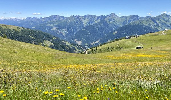 Mete ideali per una vacanza in montagna d'estate: Osttirol (Austria)
