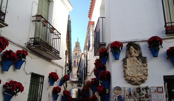 Calle de las flores a Cordoba, Spagna