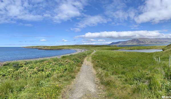 Escursionismo vicino a Reykjavík: isola di Viðey