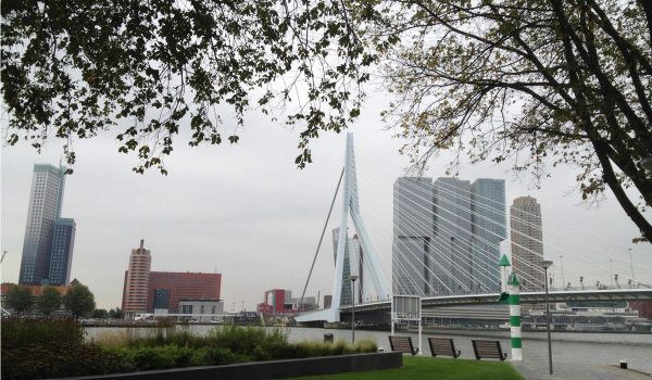 Rotterdam in un giorno: Maastoren e Erasmusbrug
