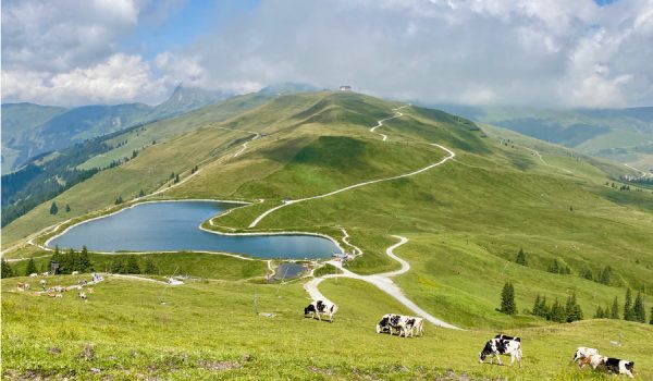 Escursione sul monte Resterkogel - Thurn Pass, Alpi di Kitzbühel